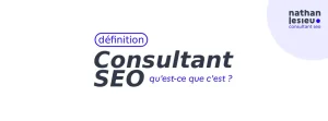 qu'est-ce qu'un consultant seo